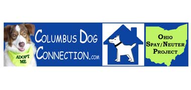 Visit the Columbus Dog Connection website