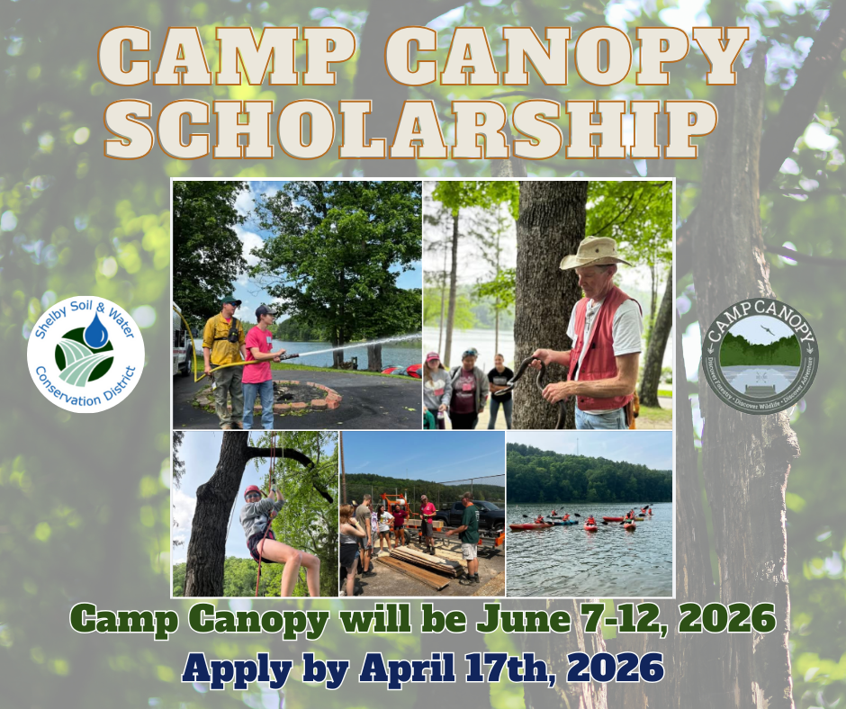 Camp Canopy Scholarship 2026