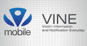 Vine Mobile Logo